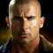 Dominic Purcell Photo