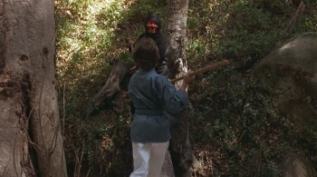 3 Ninjas Kick Back (1994) download