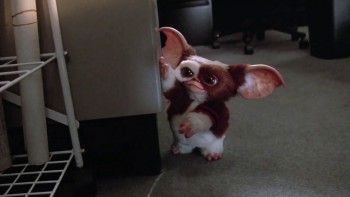 Gremlins 2: The New Batch (1990) download