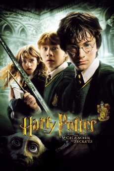 Harry Potter and the Chamber of Secrets (2002) download