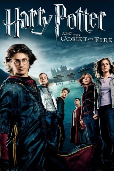 Harry Potter and the Goblet of Fire (2005) download