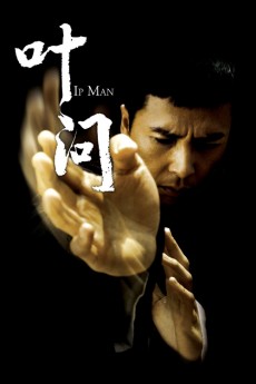 Ip Man (2008) download