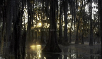 A Crime on the Bayou (2020) download