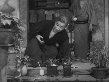 A Geisha (1953) download