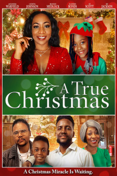 A True Christmas (2022) download