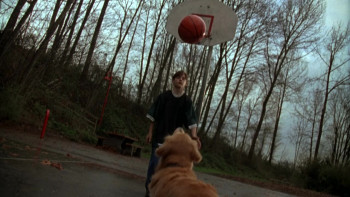 Air Bud: Golden Receiver (1998) download