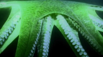 Aliens of the Deep (2005) download