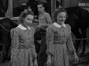 Barnyard Follies (1940) download