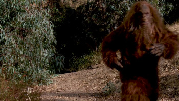 Bigfoot or Bust (2022) download