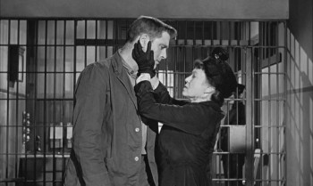 Birdman of Alcatraz (1962) download