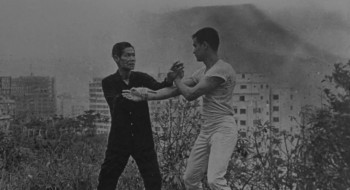 Bruce Lee, the Legend (1984) download