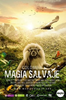 Colombia: Wild Magic (2015) download