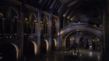 David Attenborough's Natural History Museum Alive (2014) download