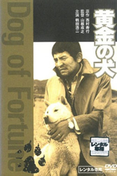 Dog of Fortune (1979) download