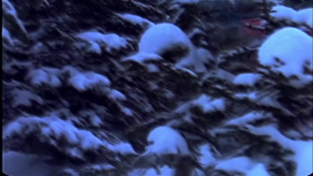 Endless Winter (1995) download