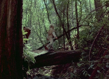 Ewoks: The Battle for Endor (1985) download