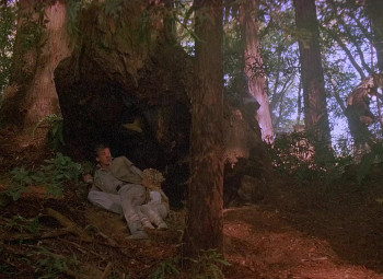 Ewoks: The Battle for Endor (1985) download