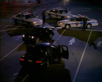 Family of Cops III: Under Suspicion (1999) download