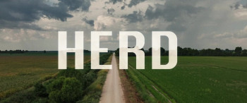 Herd (2023) download