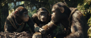 Kingdom of the Planet of the Apes (2024) download