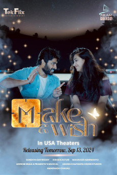 Make a Wish (2024) download