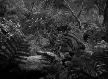 Man-Eater of Kumaon (1948) download