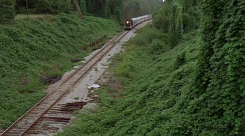 Mystery Train (1989) download