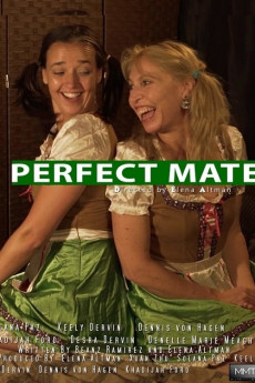 Perfect Mate (2017) download