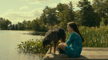 Porcupine Lake (2017) download