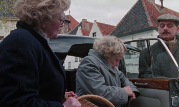 Rabid Grannies (1988) download