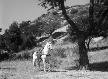 Raiders of San Joaquin (1943) download