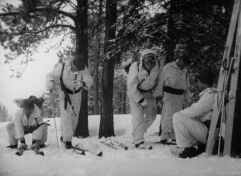 Ski Troop Attack (1960) download