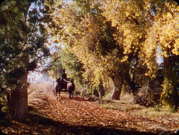 Song of the South (1946) download