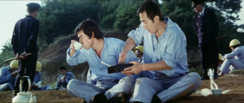 The Karate Killer (1973) download