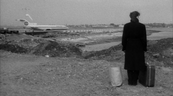 Stranger Than Paradise (1984) download