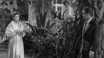 Suddenly, Last Summer (1959) download