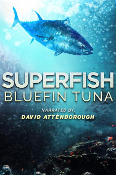 Superfish Bluefin Tuna (2012) download