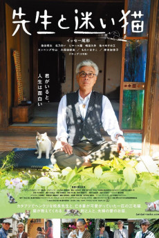 Teacher and Stray Cat (2015) download