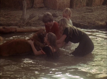 The Call of the Wild (1976) download