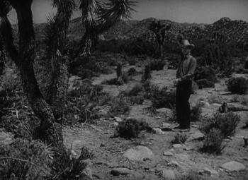 The Capture (1950) download