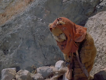 The Ewok Adventure (1984) download