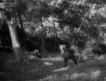 The Fantasy of Deer Warrior (1961) download