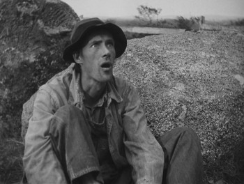 The Grapes of Wrath (1940) download