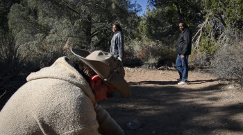 The Haunting at Death Valley Junction (2020) download