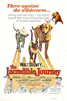 The Incredible Journey (1963) download