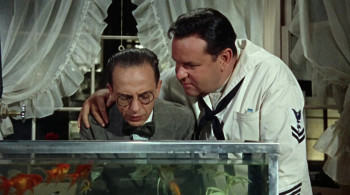 The Incredible Mr. Limpet (1964) download