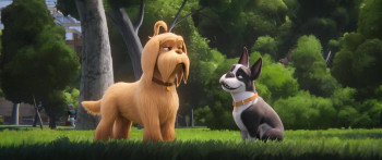 The Secret Life of Pets (2016) download