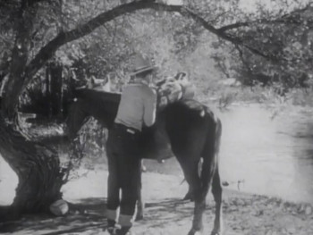 The Star Packer (1934) download