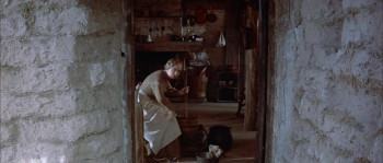 The Unforgiven (1960) download