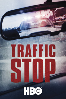 Traffic Stop (2017) download